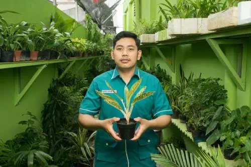 FG 3e 02 - Gardening 2
