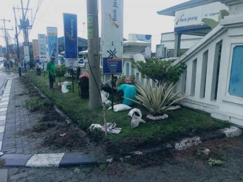 FG 3e 03 - Gardening 3