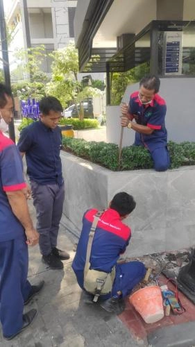 FG 3e 06 - Gardening 6